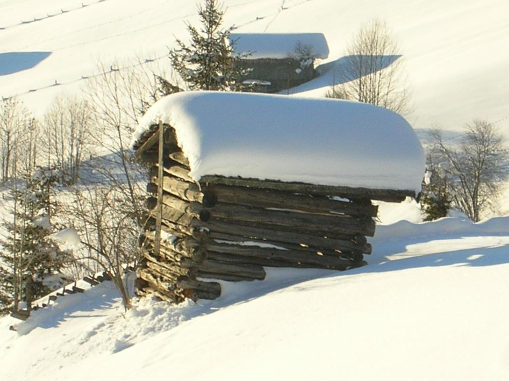 Apartament Haus Konrad Reith im Alpbachtal Zewnętrze zdjęcie